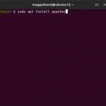 UbuntuにWebサーバー（Apache2）をセットアップ
